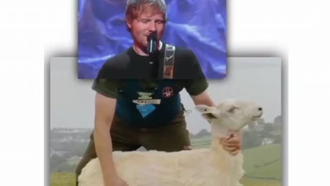 Ed shearing