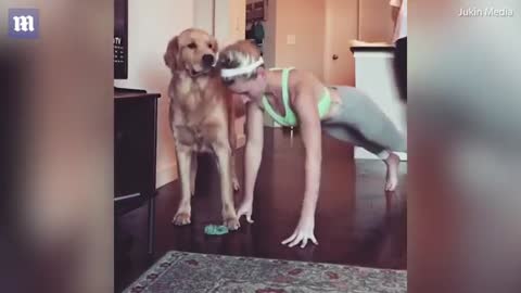 Playful dog makes push ups impossible very patient owner 2022