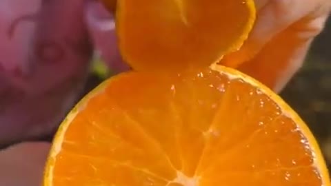 VERY VERY SWEET RIPE ORANGE