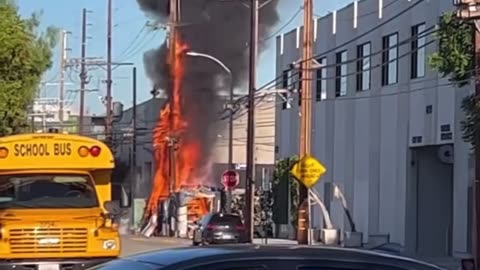 Homeless encampment explodes in Hollywood CA