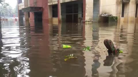 Jagannathpur Flood 2022 || Sunamganj || Sylhet