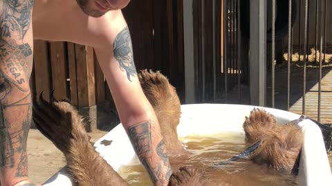 Bear Enjoys Relaxing Bath Time