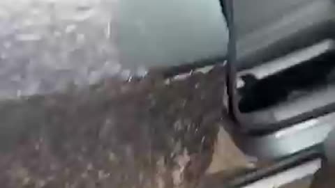 Cars Freeze Into Ice Cubes