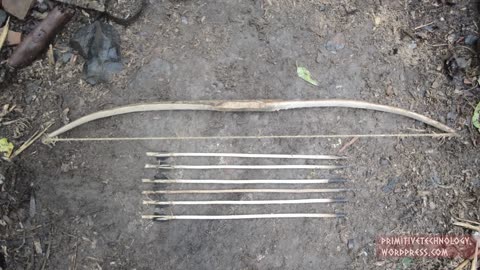 Primitive Technology Bow and Arrow