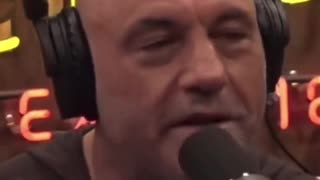 Rogan On Teacher Who Installed Litter Box For Student Who Identifies As A Furry