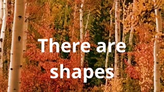 How many shapes are out there?