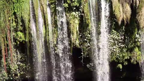 Beautiful Nature Video