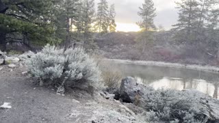 Starting Deschutes River Trail at Sunrise – Deschutes River – Central Oregon – 4K