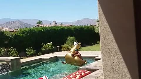 Guy tries to ride golden blowup swan