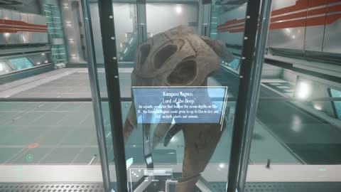 Star Citizen Subscriber Flair 19 - Puglisi Collection Kamposi magnus skull