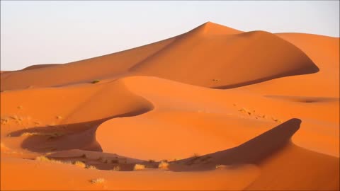 Ancient Arabian Music – Cobra Desert
