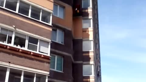 Industrial climbers wash windows