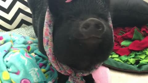 Mamma Pig ready to hit the town