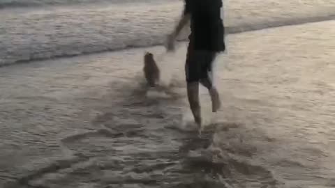 running on the beach with my dog