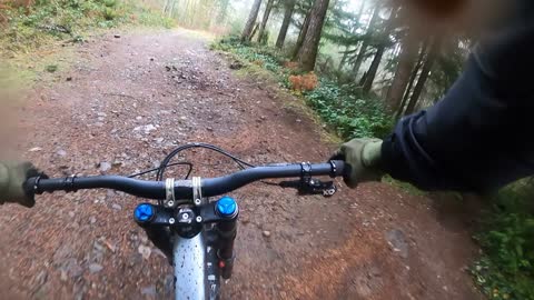 FREERIDE, or DIE. Downhill Mountain Biking in Olympia WA