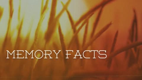 Memory Facts