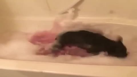 You can have fun in a bathtub