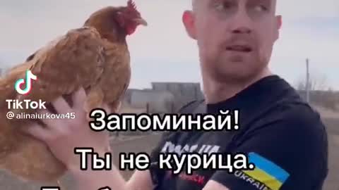 A plane old chicken is a bio weapon if we are to listen to the absurd Russian Army