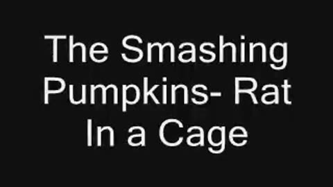 The Smashing Pumpkins Rat In A Cage