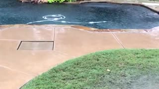 Golden retriever jumping in hot tub in the rain