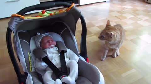 Cute baby is welcomed and pampered by a cat 1- extremfunnystuff