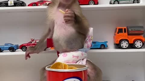 Zozo monkey eat snack #short #animals #satisfying