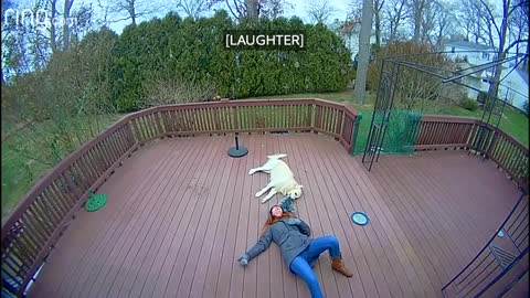 Dog mistakes furry hood for a toy and drags his owner around the backyard deck