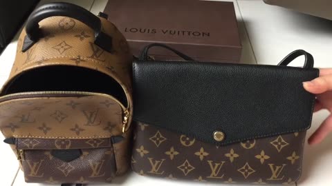 Louis Vuitton Twinset / Twice review and comparison With mini Palmsprings Backpack