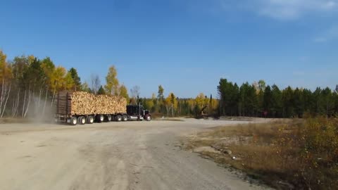 Peterbilt 359 Classic loaded with wood