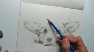 Art || Sketch || A Lovely Puppy (I)