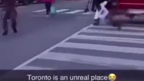 Toronto is Fucked