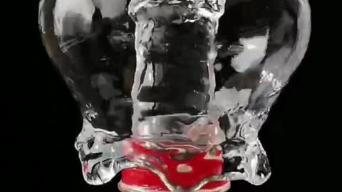 When the bottle is filled with water, the shape of the water is squeezed by gravity