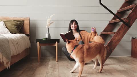 Woman Holding A Book While Plays With A Dog