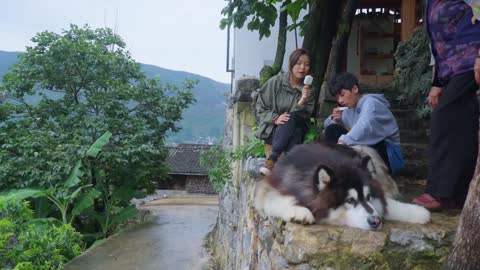 大王快递送冰棒给家人让大家都能消消暑 Dawang delivers popsicles to the family that everyone can cool off from the heat