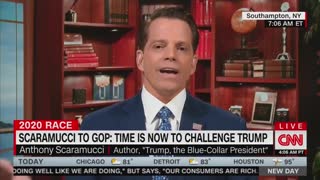 Scaramucci: Former Cabinet Members Will Soon Rebuke Trump