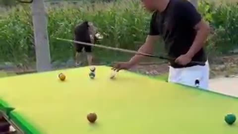 Funny Video Billiards million views | p337