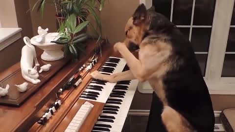 Can I play the piano