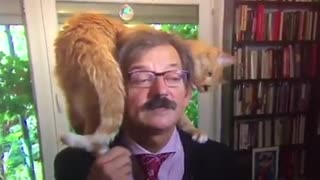 Gato causa furor en las redes tras interrumpir una entrevista en vivo