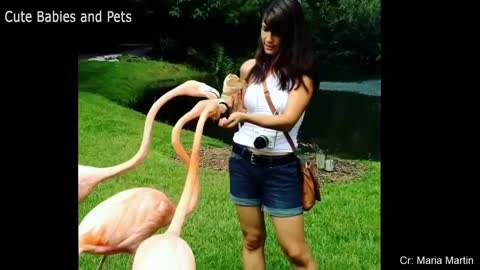 #cute birds play with a young woman# watch this video