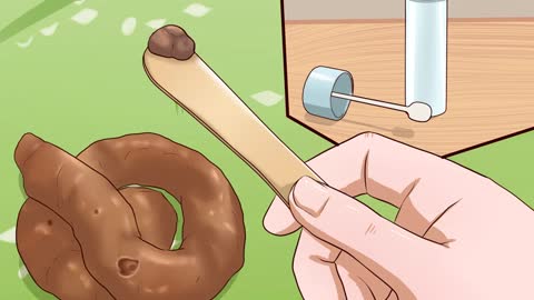 How to Identify Different Dog Worms