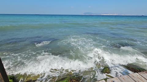 Cute dolphins and the beauty of the Black Sea