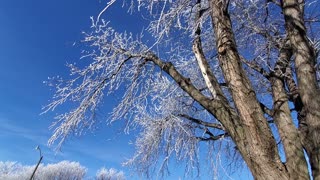 Nebraska winter after a fross day