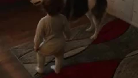Baby with dog are both playing