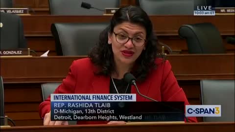 Tlaib warns Mnuchin to seek personal legal advice