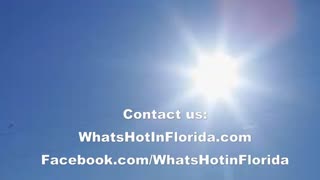 What's Hot in Florida Supports Small Business, Remarkable People, Unique Places & Exciting Events