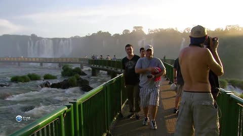 Diverse Flora and Fauna Brazil