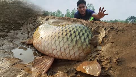 Wow Really Smart Hand Fishing In River Dry Place Underground Fish Catching_1080pFHR