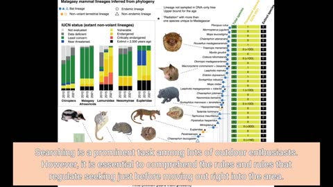 Our The Economic Impact of Hunting in the United States Diaries