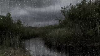 Windy rain and Thunder sound-virtual environment