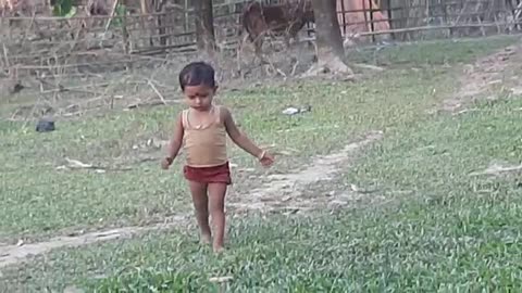 Cute Baby video